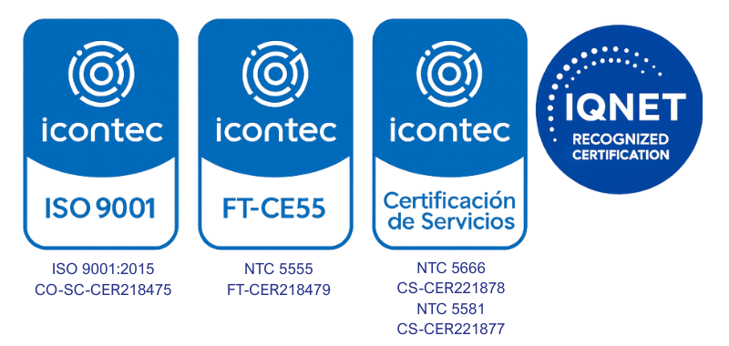 Texto del párrafo (4)